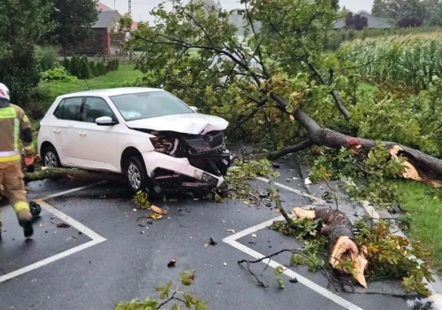 Groźnie w powiecie konińskim. Drzewo zmiażdżyło auto, kilka gmin bez prądu