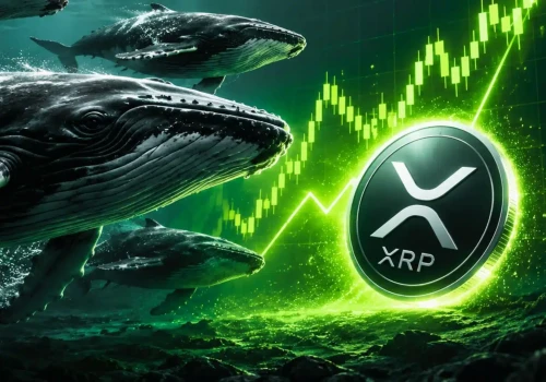 Wieloryby XRP wiedziały wcześniej? To dlatego warto je obserwować
