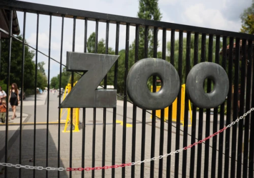Warszawskie zoo oraz parki w Łazienkach i Wilanowie zamknięte. Porywisty wiatr w natarciu