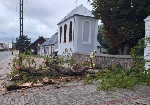 Powalone drzewa i zalane posesje. 