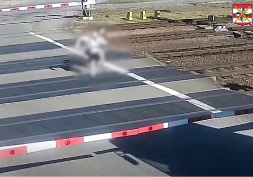 Kilka sekund może kosztować życie. Czeska policja pokazała dramatyczne nagranie