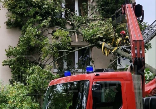 Potężna gałąź uderzyła w blok na Bielanach. Wybiła szybę i wpadła do mieszkania