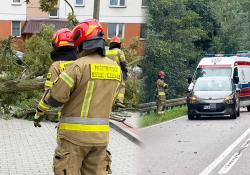 Wichura łamie drzewa w powiecie. Konar uderzył w auto, ewakuacja parkingu w Łomży