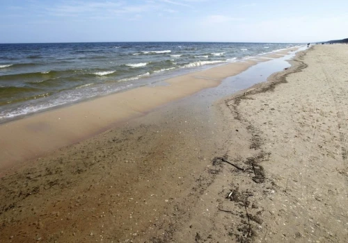 Sprzątał plażę, znalazł bursztyn. Skarb Bałtyku może być wart fortunę