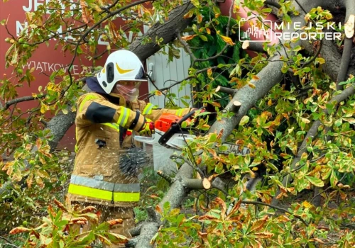 Ponad 2 tysiące interwencji po wichurach na Mazowszu. Najwięcej w Warszawie. 128 tysięcy odbiorców bez prądu