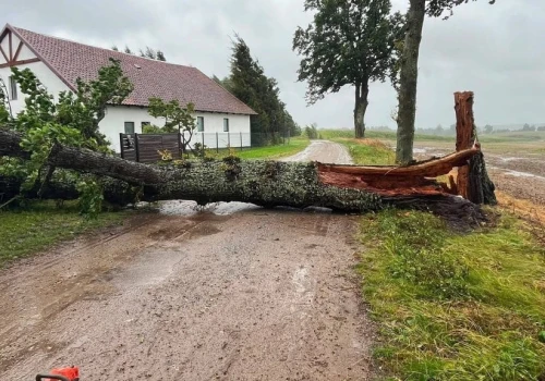 Ulewy paraliżują Warmię i Mazury. Ponad 1400 interwencji strażaków. Drzewo spadło na obóz harcerski