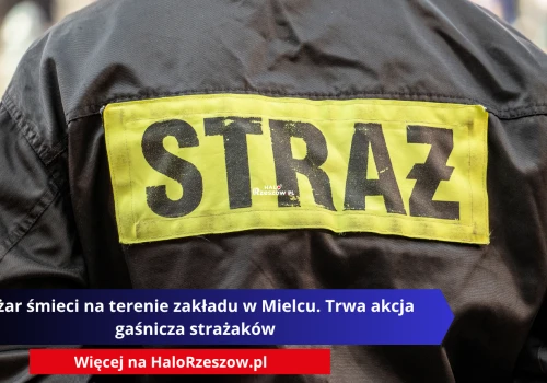 Pożar śmieci na terenie zakładu w Mielcu. Trwa akcja gaśnicza strażaków