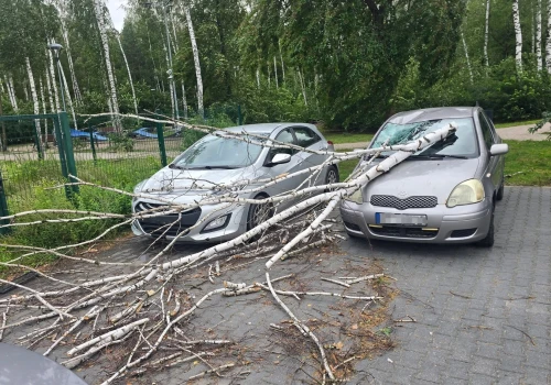 Seria interwencji po wichurze w Ząbkach. Powalone drzewa blokowały ulice, chodniki i niszczyły samochody