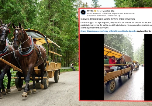 Pokazali nagranie z trasy nad Morskie Oko. 
