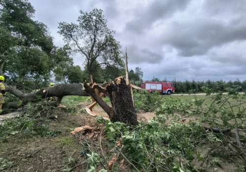 Ponad 500 zgłoszeń, warunki były bardzo trudne. Sobota w regionie łódzkim