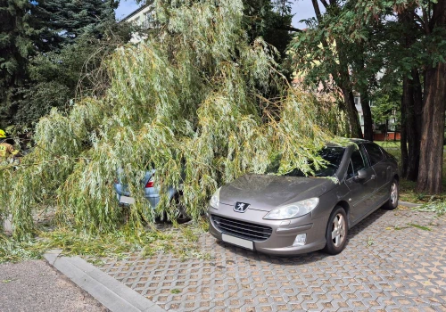 Drzewo runęło na samochody w Ostrołęce. Strażacy usuwali ogromny konar z parkingu przy ul. Hallera