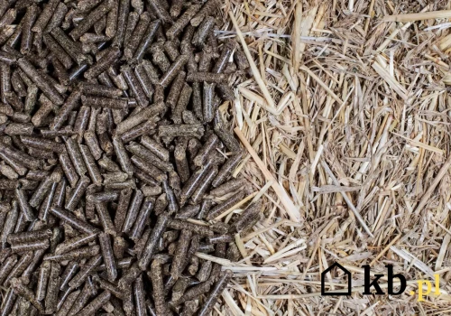 Zamiast pelletu drzewnego wrzucają do kotła to. Różnica w cenie może być ogromna