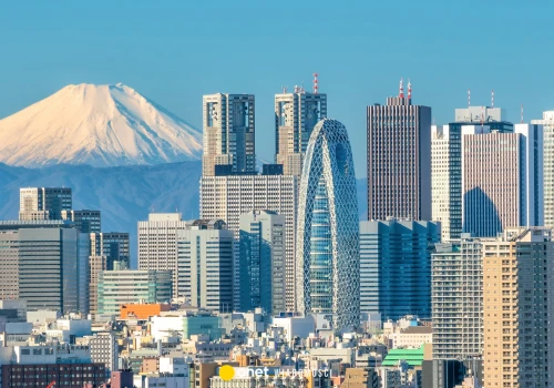 Trzęsienie ziemi w Japonii. Wstrząsy odczuli mieszkańcy Tokio