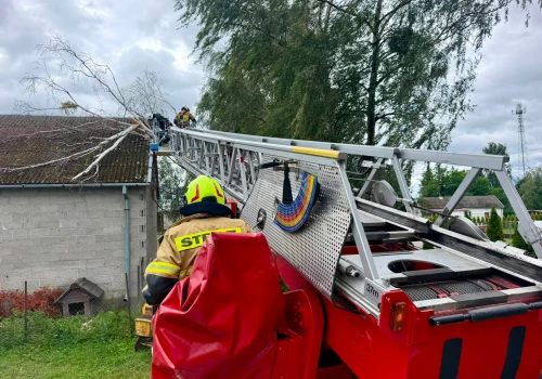 Silny wiatr uderzył w powiat nowodworski. Strażacy od rana walczyli z powalonymi drzewami i zagrożeniami przy domach