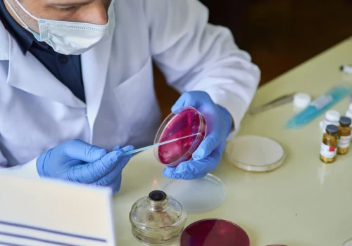 Zbiornica Skórzec ogranicza działalność. Co z odbiorem padłych zwierząt z gospodarstw?