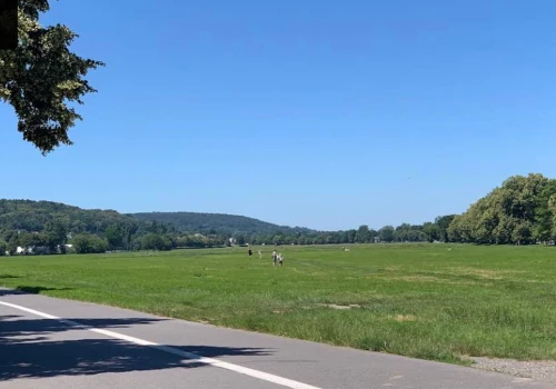 Roboty pobiegną na Błoniach. Na starcie sprint na 100 metrów i slalom