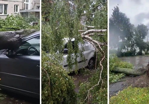 Żywioł wywołał chaos w krajach bałtyckich. Wyrywało drzewa z korzeniami