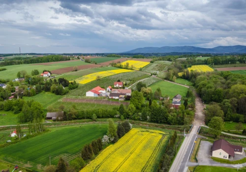 Nowy obowiązek dla kupujących dom. Potrzebne będzie specjalne oświadczenie
