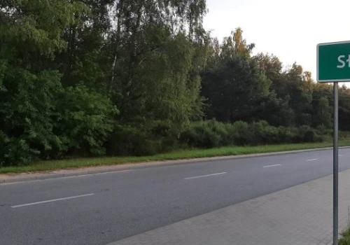 W Polsce spada bezpieczeństwo publiczne. Winni imigranci