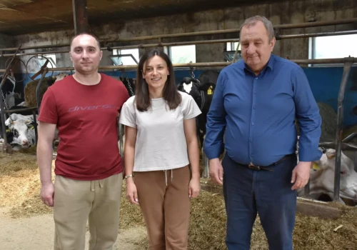 Nie kupują jałówek. Ich krowy dają średnio 13 600 kg mleka
