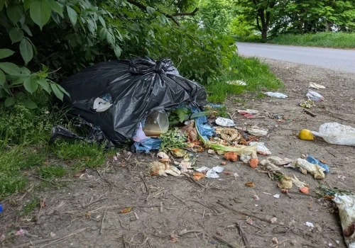 Wyrzucasz śmieci na lewo? Uśmiechnij się, jesteś w ukrytej kamerze