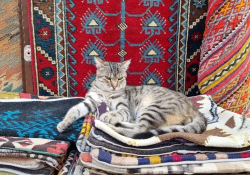 Stary kilim z PRL-u jest warty na Allegro 2500 zł. Na Vinted można go kupić już za 75 zł