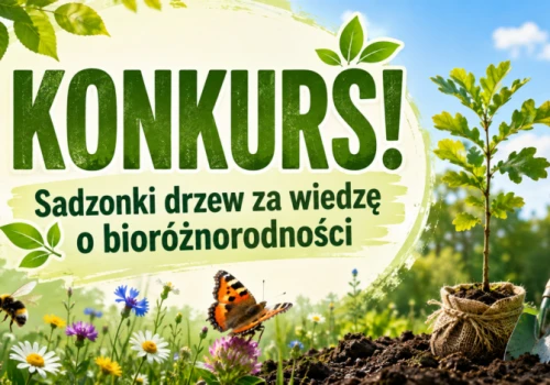 Sadzonki drzew za wiedzę o bioróżnorodności