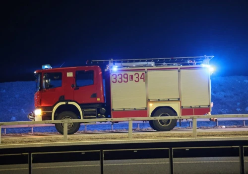 Samochód zderzył się z łosiem na S19. Dwie osoby zostały poszkodowane