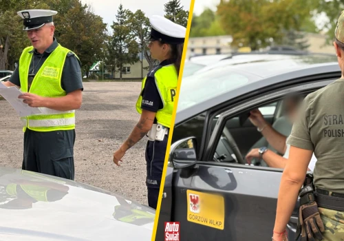 Trzy służby wzięły pod lupę przewozy osób i taksówki. Posypały się mandaty