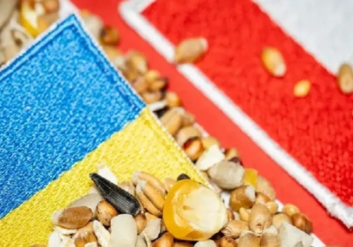 Na horyzoncie rysuje się kolejny kryzys zbożowy między Polską a Ukrainą