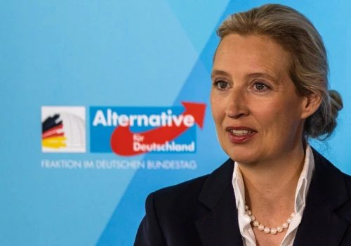 AfD chce wyjścia ze strefy Schengen i rezygnacji z euro. „CDU już nigdy więcej nie wygra wyborów do Bundestagu”