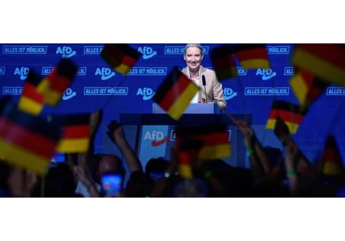 Liderka AfD: „Zamkniemy granice, wyjdziemy z Schengen”