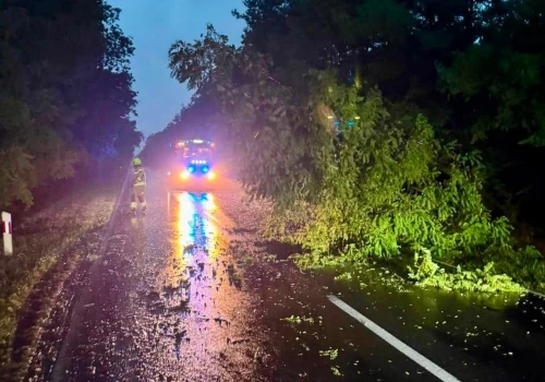 Blisko 50 interwencji w związku z silnym wiatrem i opadami deszczu