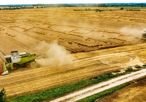 19,5 tys. hektarów na sprzedaż. Większość grunty orne a w pakiecie 600 ha sadu migdałowego
