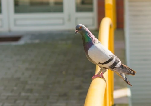 Więcej słońca i do 23°C. Taka pogoda we wtorek w Łódzkiem