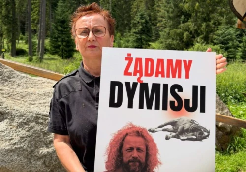 Tatry/ Aktywiści chcą sami zostać przewoźnikami na trasie do Morskiego Oka