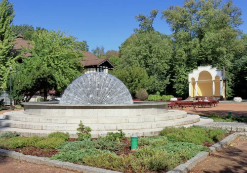 Nowe centrum miasta powstanie od podstaw. Tysiące drzew do wycięcia