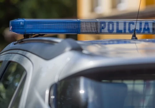 W pobliżu Ciechanowa pijana 19-latka uderzyła w ogrodzenie. Pomagał jej pasażer z 3-promilami