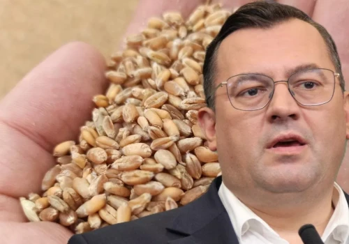 Ukraina chce wywozić zboże przez Polskę. Co na to minister Krajewski?