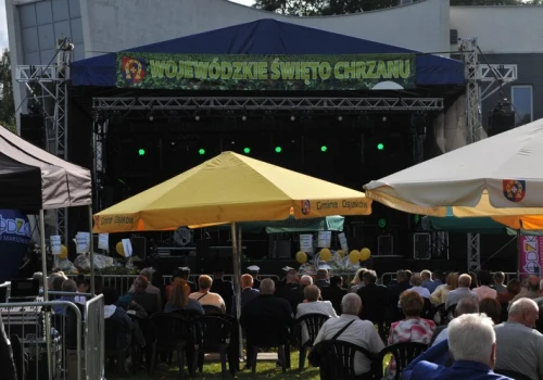 Tłumy ludzi odwiedziły 15. Jubileuszowe Wojewódzkie Święto Chrzanu w Osjakowie (zdjęcia)