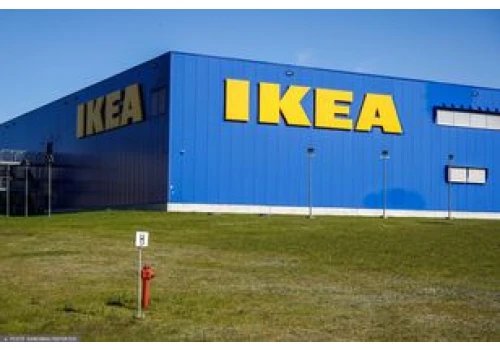IKEA zwolniła 250 osób. Szukają pracy. 