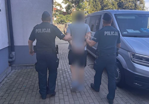 Seryjny podpalacz śmietników złapany. Groził świadkowi i znieważył policjantów