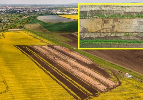 To wyrosło spod ziemi. Potężna osada ze średniowiecza odkryta w Niemczech