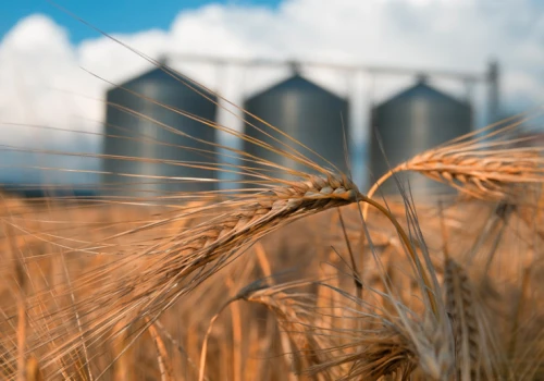 Botanika Farm zwiększa przychody o 43 proc. Spółka szykuje nowe inwestycje