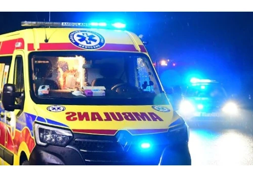 Tragedia w gminie Sawin. Nie żyje mężczyzna przygnieciony przez konia