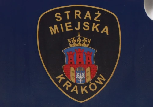 Nocny „artysta” w Krakowie wpadł przez brudne ręce. Malował sprayem na Grzegórzeckiej