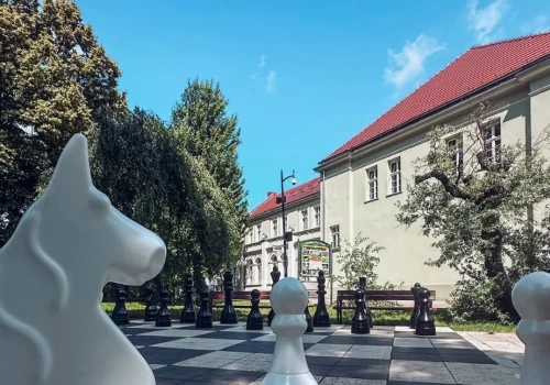 Rodzinny piknik przy Centrum Witelona w Legnicy