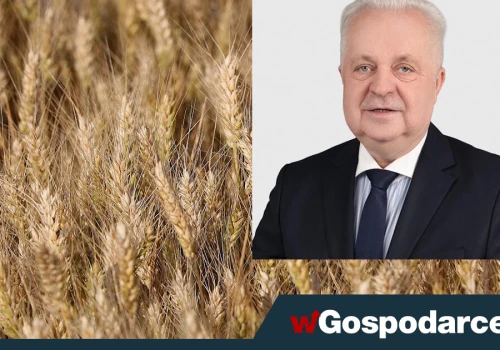 Napływ zboża z Ukrainy? 