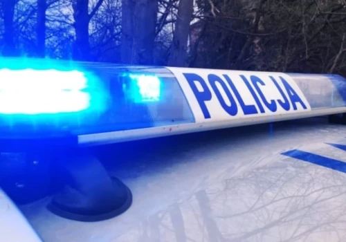Zderzenie z sarną w Czyżewie. Kia uszkodzona na ul. Andrzejewskiej