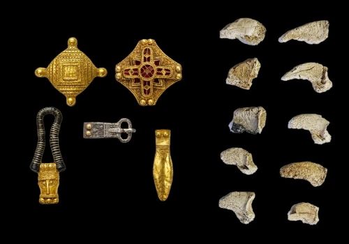Elitarne groby, a w nich… pazury niedźwiedzia. Pochówki spod Kaliningradu zapoczątkowały archeologiczną enigmę